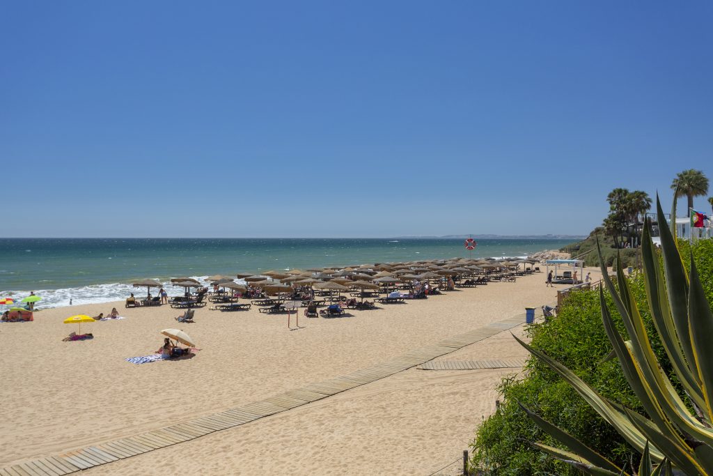 Wide landscape view of a wooden boardwalk/pathway traversing a marshy, natural reserve area with low scrub and a row of pine trees under a clear blue sky.