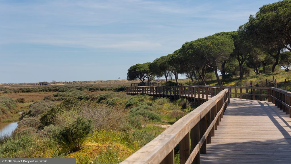 Wooden boardwalk through coastal nature and dunes in the Algarve under a clear spring sky.